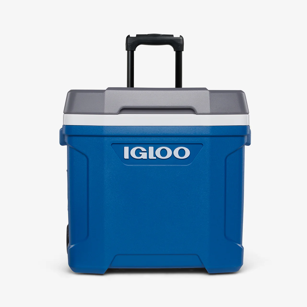 43809